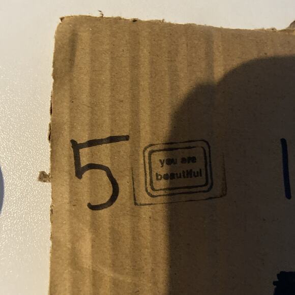 Sangria Fit & Flare Dress Women Sz 12 Gray Lace Overlay Wedding - Picture 11 of 11